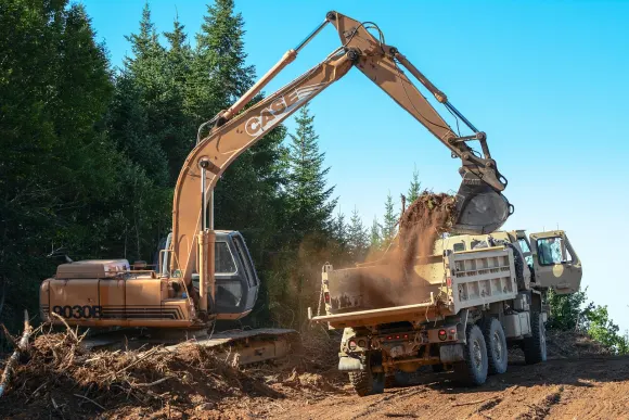 Casino Loot Bet Assistance